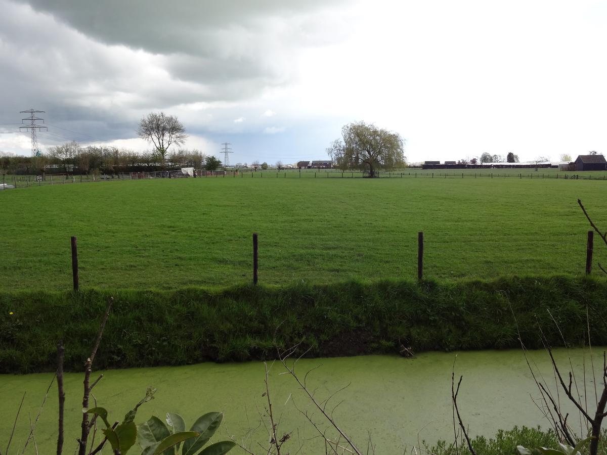 De Betuwe Hotel Asch Esterno foto